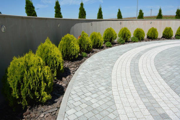 Reasons to Select Us for Your Driveway Paving Requirements in Fayette, OH